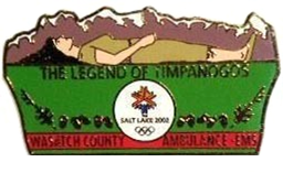 2002 Winter Olympics Pin